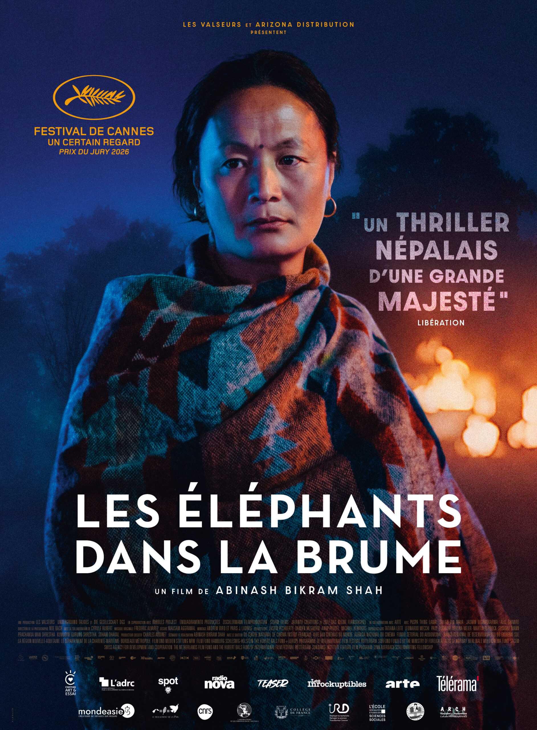 LES-ELEPHANTS-DANS-LA-BRUME